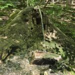 image 1 of Best Natural Spring Water Near Carlisle, PA | Complete Guide to the Public Spring Near Pole Steeple in Pine Grove Furnace State Park - awesome carlisle best of carlisle, pa