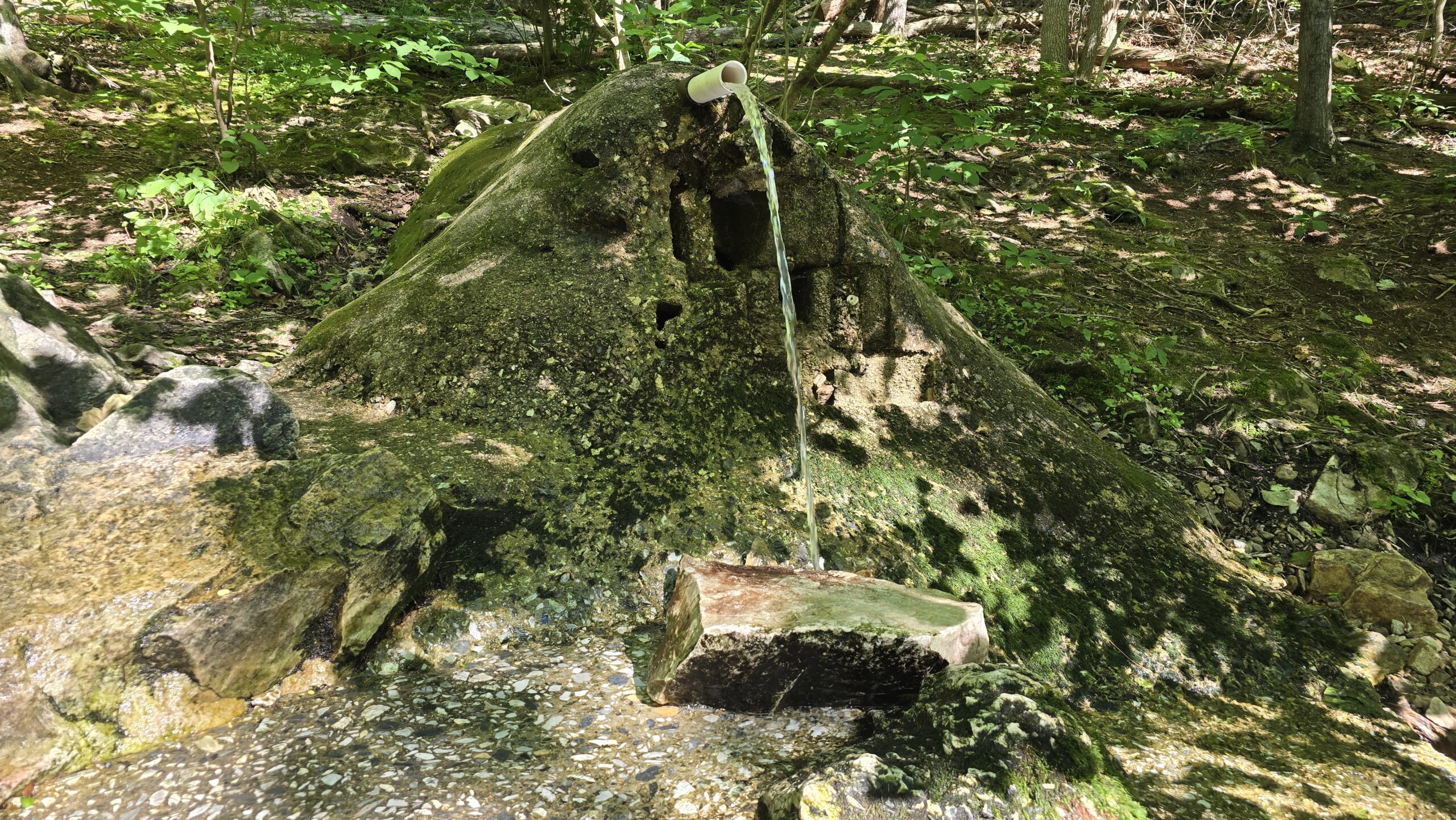 image 1 of Best Natural Spring Water Near Carlisle, PA | Complete Guide to the Public Spring Near Pole Steeple in Pine Grove Furnace State Park - awesome carlisle best of carlisle, pa